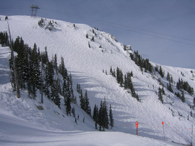 Chapter 8, Day 25 (March 24, 2006): Primrose Path and Silver Fox from Chip’s Run